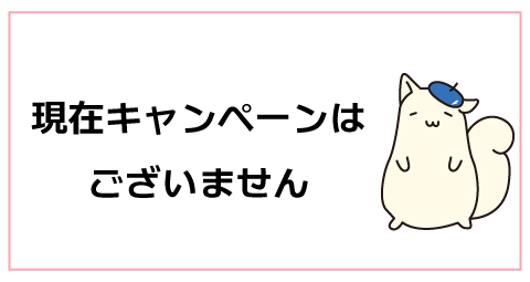 同レボキャンペーンはございません