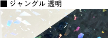 ジャングル 透明